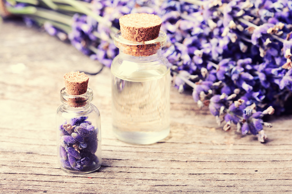 Top Essential Oils for Beginners